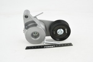 Натяжитель ремня 1290-D3 1290-D3 FEBEST