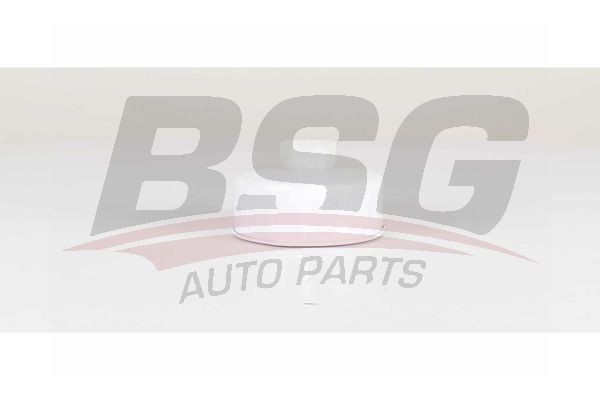 Фильтр топливный LAND ROVER Discovery (04-) BSG BSG15130008 BSG