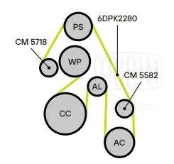 Ролик привод. ремня для а.м Ford Mondeo IV (07-) 2.0T (опор.) (CM5582) CM5582 TRIALLI