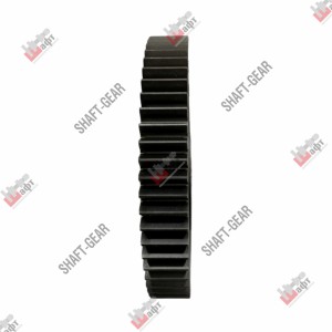 Шестерня 1 передачи вторичного вала 9JS/9JSD Тонар, Camc, DongFeng, Faw, Foton,  JS180-1701112 SHAFT