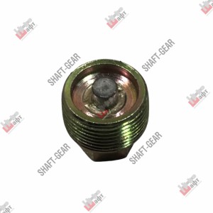 Пробка винтовая 17UF3-01502 736301016 SHAFT