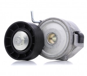 FOCUS II (2005-2008)/ CITROEN C-CROSSER (2008>) 2.0-2.2TDi APV2424 DAYCO