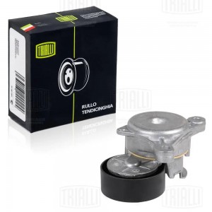 CITROEN C5 / PEUGEOT 206 CM 5179 TRIALLI