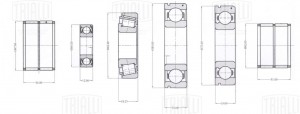 Ремкомплект КПП (5 ступ.) ГАЗ (с 2003 г.) (конич. подшип., только подшип.) (CT 7 CT757 TRIALLI