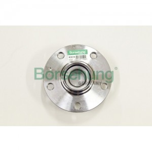 ступица задняя с подшипником B19119 B19119 BORSEHUNG