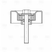 Ролик привод. ремня для ам Ford Focus (04-) 1.8d (CM 5125) CM5125 TRIALLI