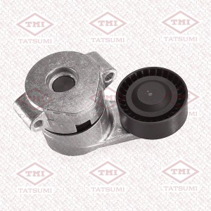 Натяжитель поликлин.ремня с роликом CITROEN Jumper 06-FIAT Ducato 06- FORD Trans TFD1343 TATSUMI
