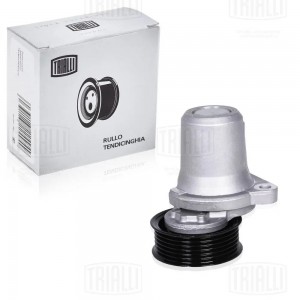 Ролик привод. ремня Mazda 6 (02-) 1.8i/2.0i/2.3i/2.5i (с натяж. мех.) h26.5 (CMS CMS 1206 TRIALLI