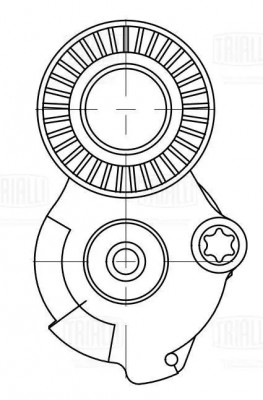 Ролик привод. ремня для а/м VW Touareg III (18-) 3.0d [EA897] (2019-) (с натяж.  CM 5832 TRIALLI