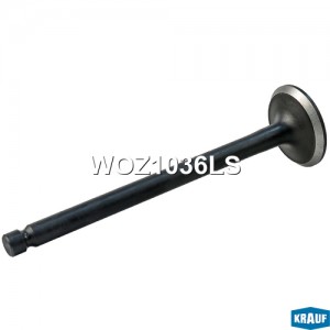 Клапан впускной WOZ1036LS WOZ1036LS KRAUF