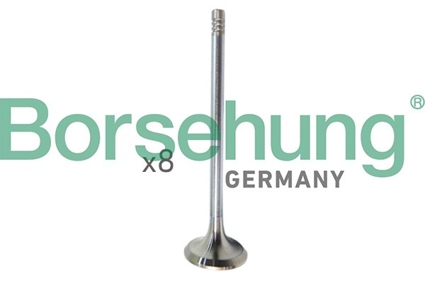 к-кт клапанов! впуск./выпуск. 16шт. 28.5x5x110.25\ Audi A1/A3, VW Golf/Jetta 1.4 B10322 BORSEHUNG