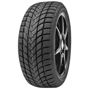 Delinte 205/55 r17 Winter WD6 95H 6901532440354 DELINTE
