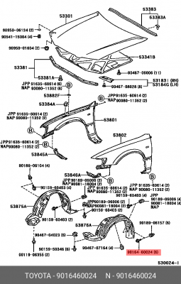 винт! крепления переднего брызговика\ Toyota 90164-60024 TOYOTA