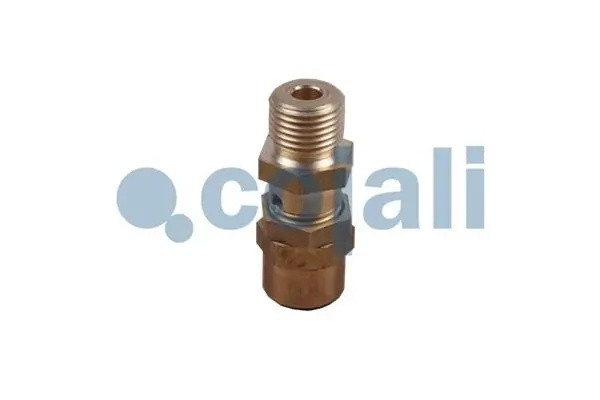 Клапан многоцикловой защиты 2380154 COJALI