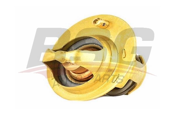 Термостат FORD Fiesta (01-08) BSG BSG30125020 BSG