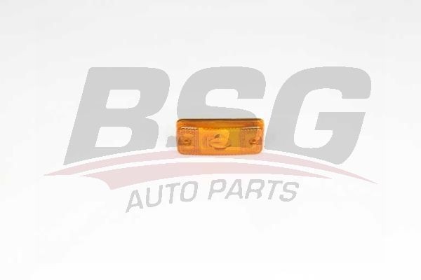 повторитель указателя поворота!\ Peugeot, Citroen BSG25805028 BSG