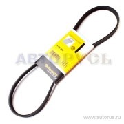 ремень поликлиновой!\ BMW E36/34 1.6/1.8 16V 93>, Opel Astra 1.7TD 98-00 4-PK-890 CONTITECH