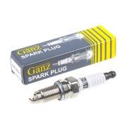 VAG/BMW/FIAT PLATINUM / IRIDIUM GIP22081 GANZ