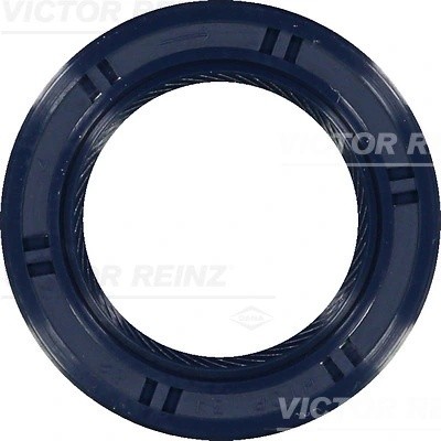 KIA RIO (2000-2004) двиг. B3 81-53491-00 VICTOR REINZ