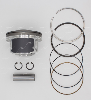 PN-33490 PN-33490 поршень с кольцами STD NISSAN QR25DE PN-33490 AUTOWELT