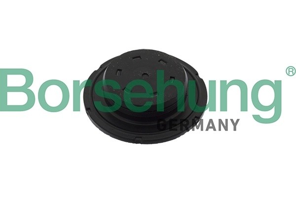 заглушка крышки ГРМ!\ Audi A3/A4/A5,VW Caddy/Golf/Passat 00> B10644 BORSEHUNG