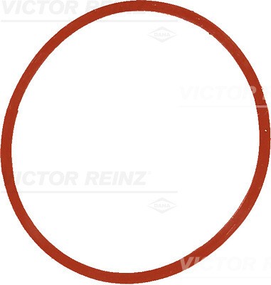 BMW E36/ E46/ E90/ E60 40-77534-00 VICTOR REINZ