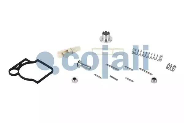 РМК крана стояночного тормоза 6012241 COJALI