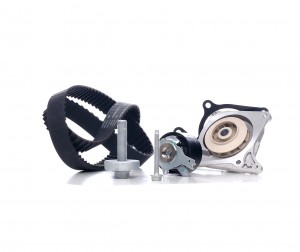 Комплект ГРМ с насосом RENAULT KANGOO II, MEGANE III 1.5dCi 530060730 530 0607 30 INA