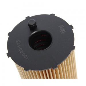 Фильтр масляный LAND ROVER Discovery (04-) MEGAPOWER 100-23-115 MEGA POWER