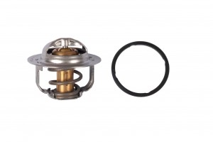 Термостат TH52591G1 GATES