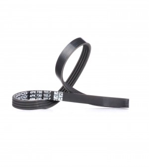 ремень поликлиновой!\ Renault Clio/Twingo/Kangoo 1.2 96> 4PK730 DAYCO