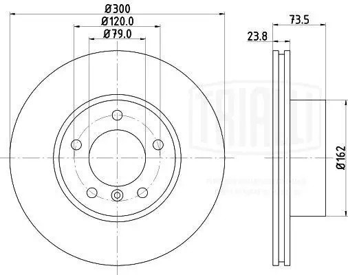 Диск торм. BMW 3 (E90) (05-)/1 (E81) (04-) перед. d=300 (окраш.) (DF 261004)  2ш DF261004 TRIALLI
