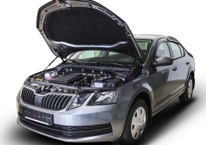 Амортизатор SKODA Octavia A7 (13-) капота (пружина газовая) комплект 2шт. АВТОУП USKOA7012 AVTOUPOR
