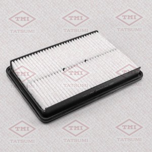 HYUNDAI SANTA FE 2.0D, 2.2D (2012>)/ KIA SORENTO TBC1101 TATSUMI