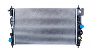 Радиатор охлаждения двигателя 19347556 19347556 DELCOPARTS
