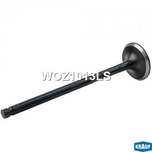 Клапан выпускной WOZ1013LS WOZ1013LS KRAUF