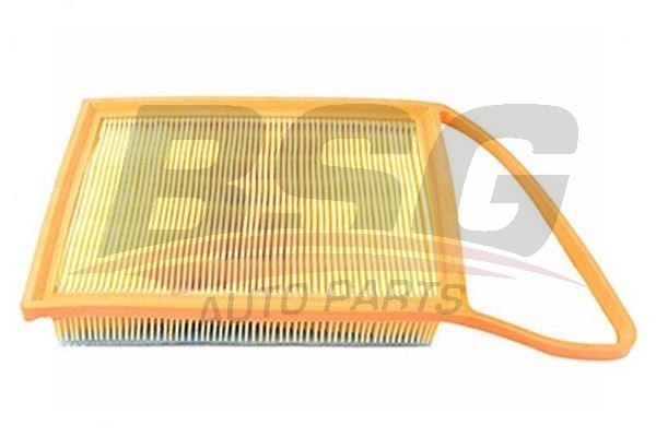 Фильтр воздушный PEUGEOT Partner (08-) CITROEN Berlingo (08-) BSG BSG70135009 BSG