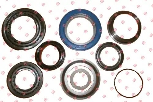 Ремкомплект ступицы 10-12t ECO PLUS 300293 ONYARBI