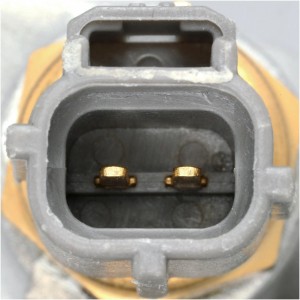 Термостат TH39190G1 GATES