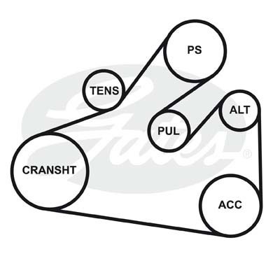 Поликлиновой ремень 6PK1590 (8653-10346) 6-PK-1590 GATES