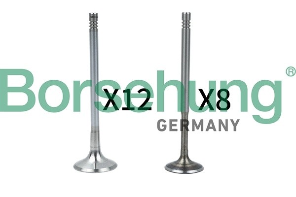 к-кт клапанов! впуск./выпуск. 20шт. 27x6x105.1\ Audi A3/A4/A6 1.8/2.4,VW Bora/Go B18636 BORSEHUNG