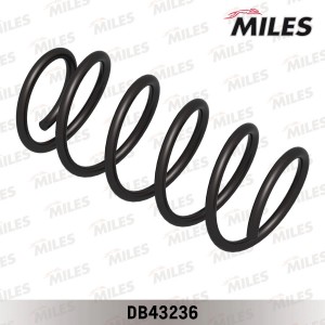 Пружина задней подвески CHEVROLET LACETTI (LESJOFORS 4214206) DB43236 DB43236 MILES