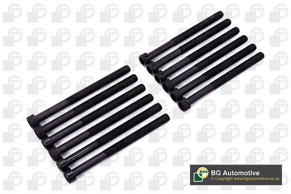 к-кт болтов ГБЦ! 12шт.\ VW Touareg/T5 2.5TDi 03> BK3345 BG AUTOMOTIVE