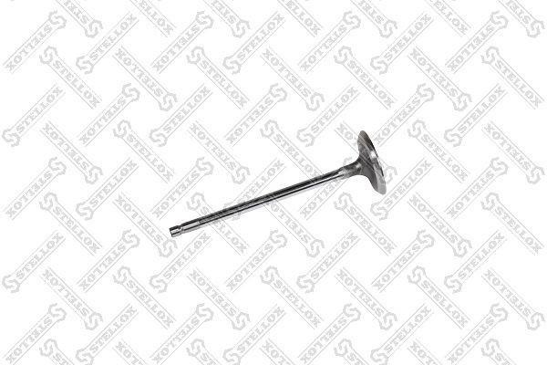 клапан впускной 33.9х5.5х106.3 Nissan Qashqai/X-Trail 2.0124363SX 01-24363-SX STELLOX