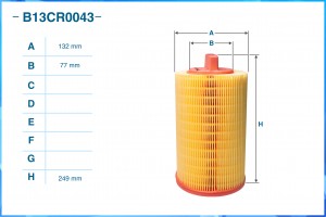 Фильтр воздушный B13CR0043 B13CR0043 CWORKS