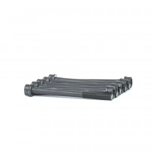 к-кт болтов ГБЦ! 10шт.\ Lancia Musa, Fiat Punto/Grande Punto 1.3MJT 04> BK3349 BG AUTOMOTIVE