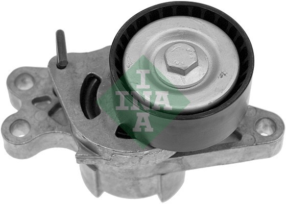 Натяжитель ремня PEUGEOT 206/206+/PARTNER 1.1/1.4 +AC 534017910 534 0179 10 INA