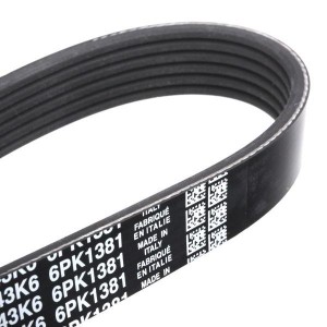 Ремень поликлиновой 6PK1381 DAYCO