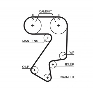Ремень зубчатый 5404XS 177x25 (8597-15404) 5404XS GATES