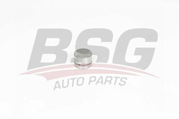 Гидрокомпенсатор MERCEDES C (W202),E (W210) BSG BSG60122002 BSG